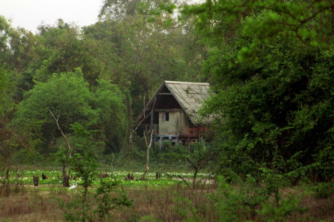 Wasgamu Safari Lodge Wasgamuwa Exterior photo
